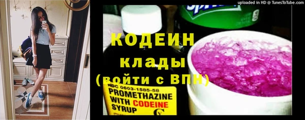 стафф Россошь