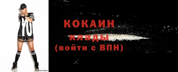 стафф Россошь