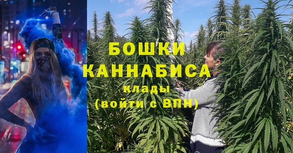 дурь Рославль