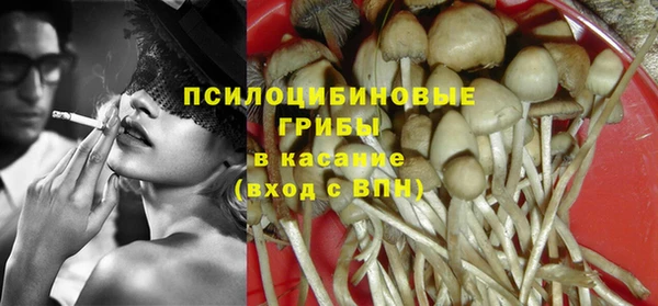 дурь Рославль