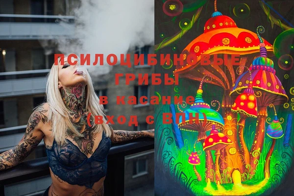 стафф Россошь