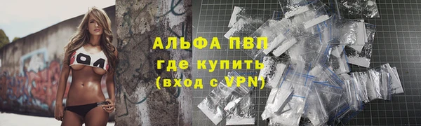 стафф Россошь