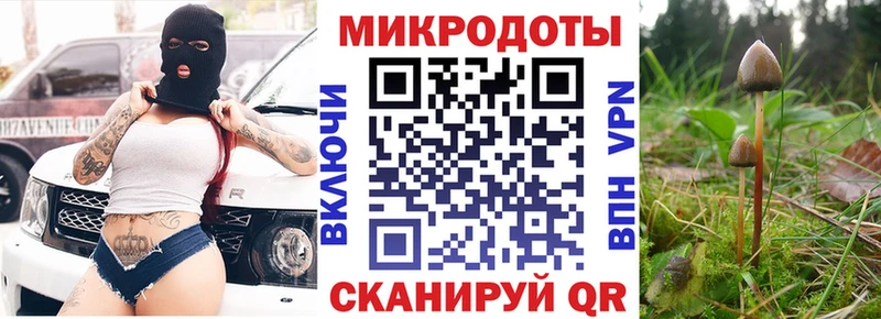 Псилоцибиновые грибы мухоморы  магазин продажи   Сенгилей 